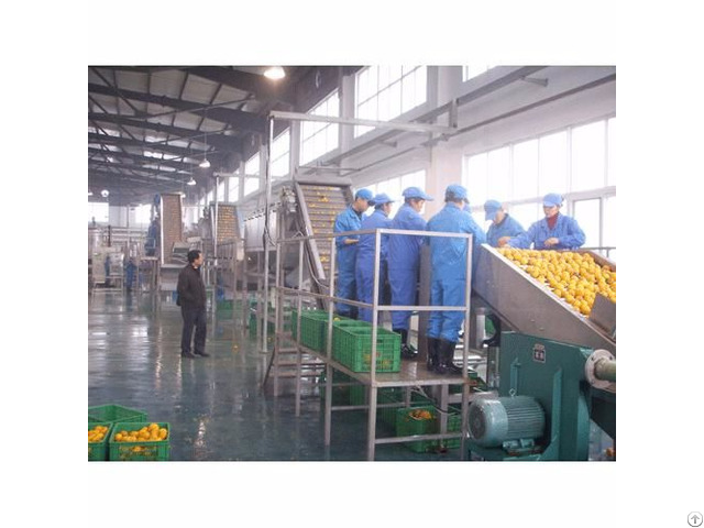 Supply Jump Bll Pineapple Juice Production Line