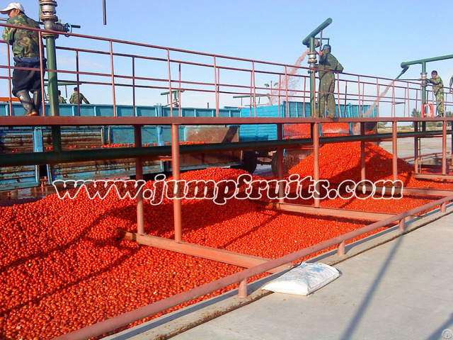 Supply Jump Fqjl Tomato Paste Production Line