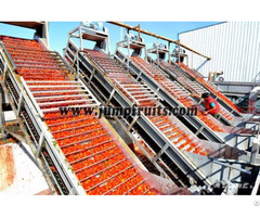 Jump Ketchup Production Line