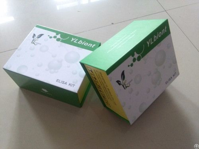 Human Cholecystokinin Cck Elisa Kit