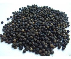 Black Pepper Of Vietnam