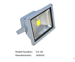 Hokog 20 W Led Flood Light