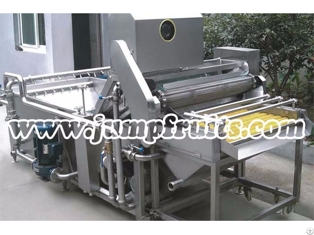 Canned Fruit And Vegetable Production Line