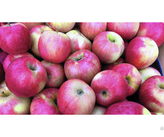 Moldavian Apples