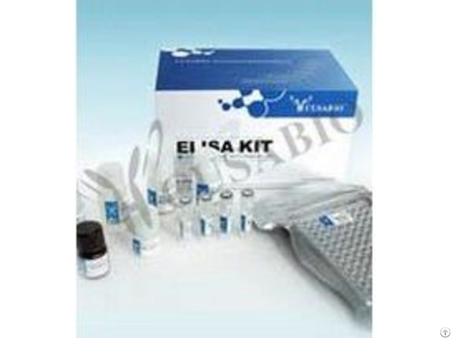 Rat Annexin I Elisa Kit