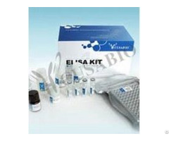 Product Name Rat Protein Kinase B Pkb Akt Elisa Kit