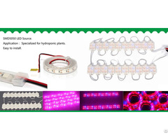 Led Light Grow Waterproof Ip65