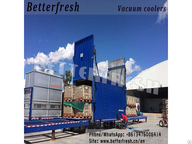 Betterfresh Customized Vacuum Cooling Machine Vegetable Folwer Cooler