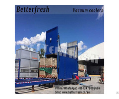 Betterfresh Customized Vacuum Cooling Machine Vegetable Folwer Cooler