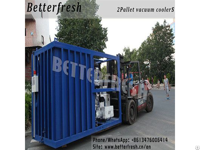Berries Cherries Strawberry Plum Vacuum Cooler