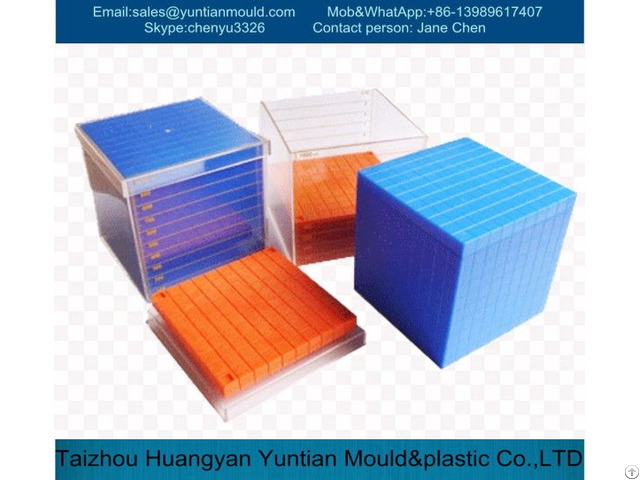 Plastic Injection Lego Brick Mould