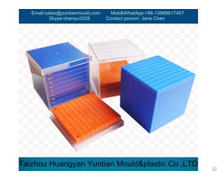 Plastic Injection Lego Brick Mould