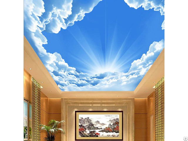 3d Ceiling Sky Nature Theme Wallpaper Mural Customize