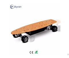 Electric Skateboard