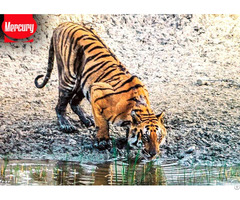 Sundarban Tour Package