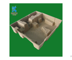 Biodegradable Pulp Molded Inner Insert Carton Box Packaging