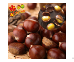 Organic Fresh Chestnuts