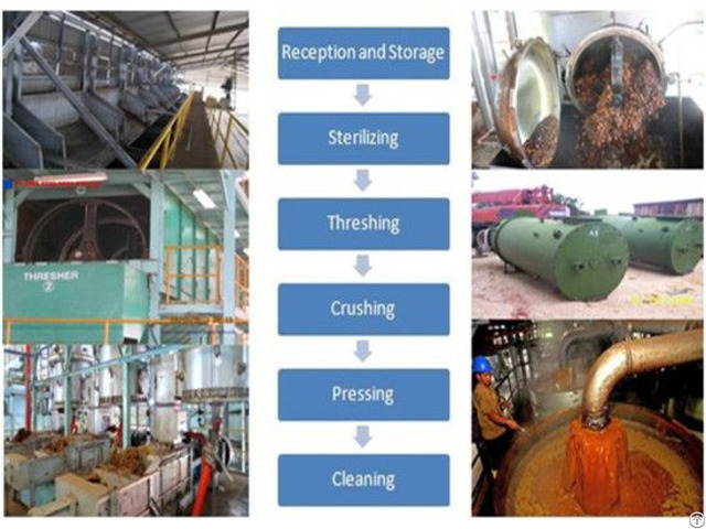 Small Scale Palm Oil Extraction Machine