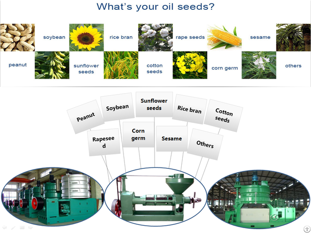 Soybean Oil Pressing Machine