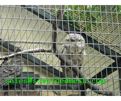 Stainless Steel Welded Mesh Zoo