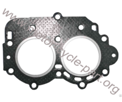 61n 11181 Outboard Head Cylinder Gasket