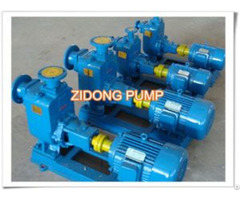 Zw Self Priming Sewage Pump