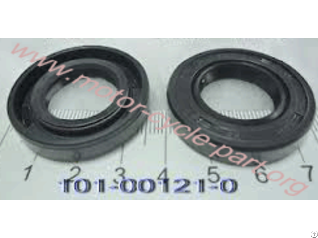 Crankshaft Oil Seal 101 00121 0