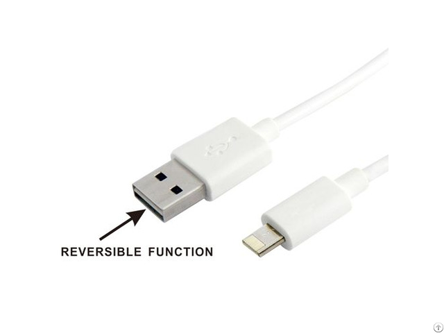 Reversible Usb Am To Lightning Cable