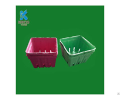 Recycled Paper Pulp Molded Colorful Biodegradable Fruit Baskets