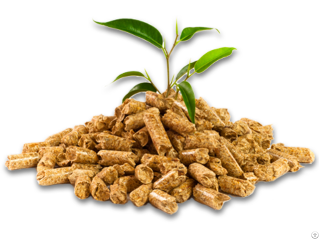 Wood Pellets 6 8mm For Power Plant Biomass Heating System