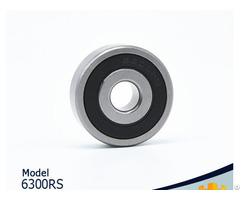 The High Quality Bearing Products 6300 2z Rs