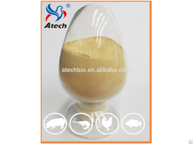 Feed Yeast Selenium 2000ppm