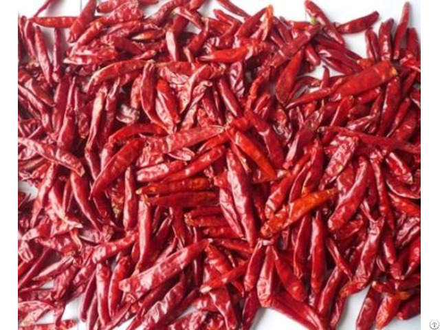 Indian Chilli