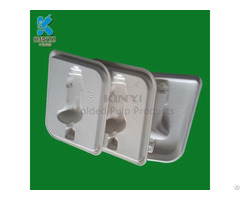 Eco Friendly Sugarcane Bagasse Pulp Battery Tray