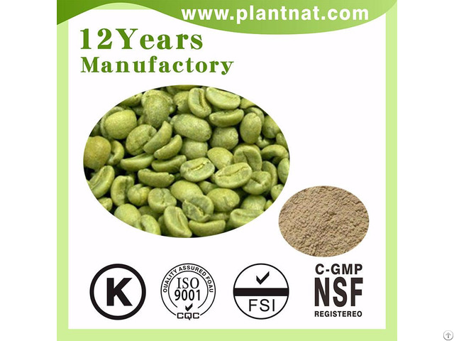 Green Coffee Bean Extract Chlorogenic Acid