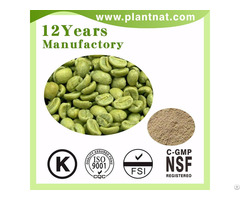 Green Coffee Bean Extract Chlorogenic Acid