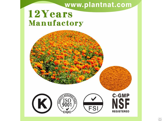 Lutein Marigold Flower Extract Food Color