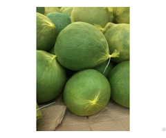 Fresh Pomelo Origin Vietnam