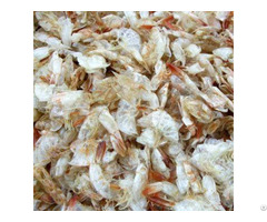 Dried Shrimp Shell Meal Without Head