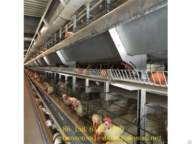 Layer Poultry Farming Shandong Tobetter Cages Saving Land