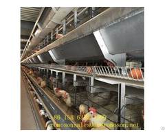 Layer Poultry Farming Shandong Tobetter Cages Saving Land