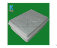 Biodegradable Compostable Fiber Pulp Mooncake Packaging Boxes