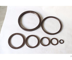 Anti High Temperature And Pressure Engine Crankshaft Oil Seals For Auto Cars Nbr 55 75 8 9