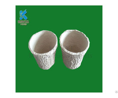 Disposable Molding Pulp Mini Flower Pot