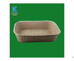 Disposable Paper Pulp Mold Nursery Pots