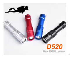 Dive Lights Orcatorch D520