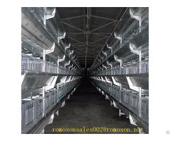 Broiler House Shandong Tobetter Advanced Technology