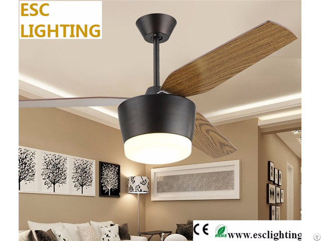 Contemporary Ceiling Fan