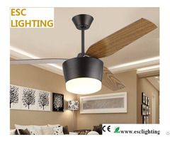 Contemporary Ceiling Fan