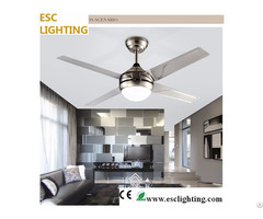 White Light Ceiling Fan